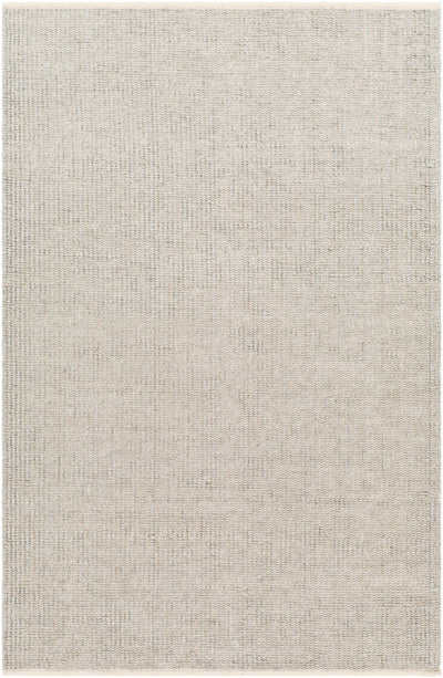 Off-White Hand Woven 100% Recycled PET Yarn Modern Rectangle Handmade rug, Indoor use only, no fringe, non-washable.