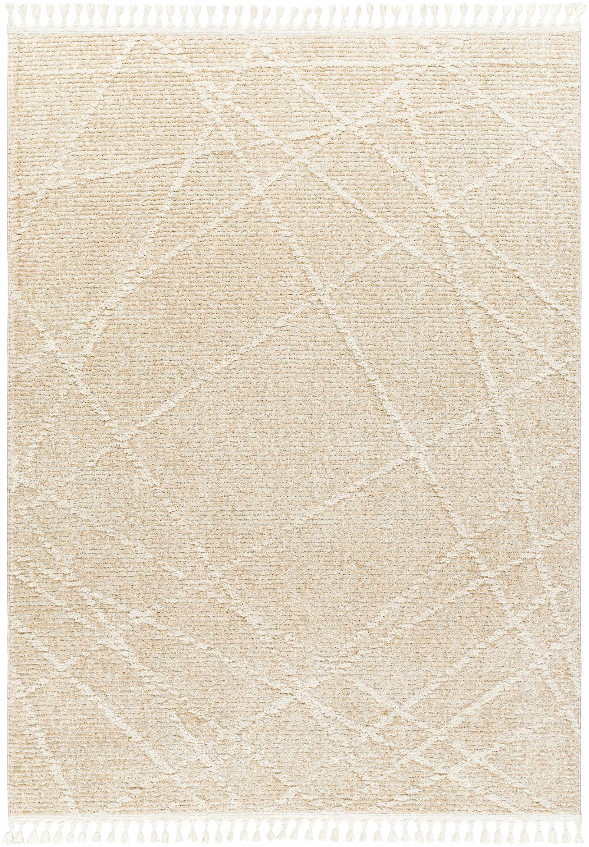Rudy RDY-2307 Machine Woven Rug