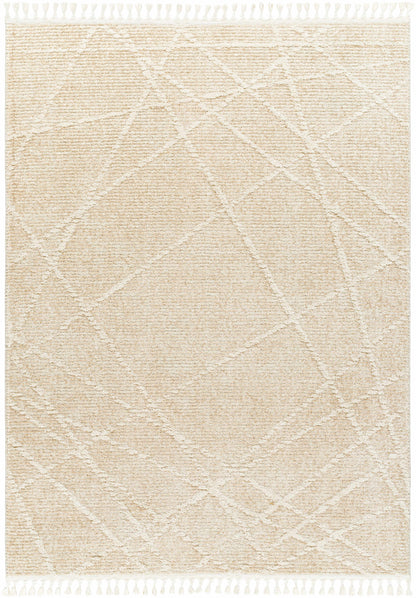 Rudy RDY-2307 Machine Woven Rug