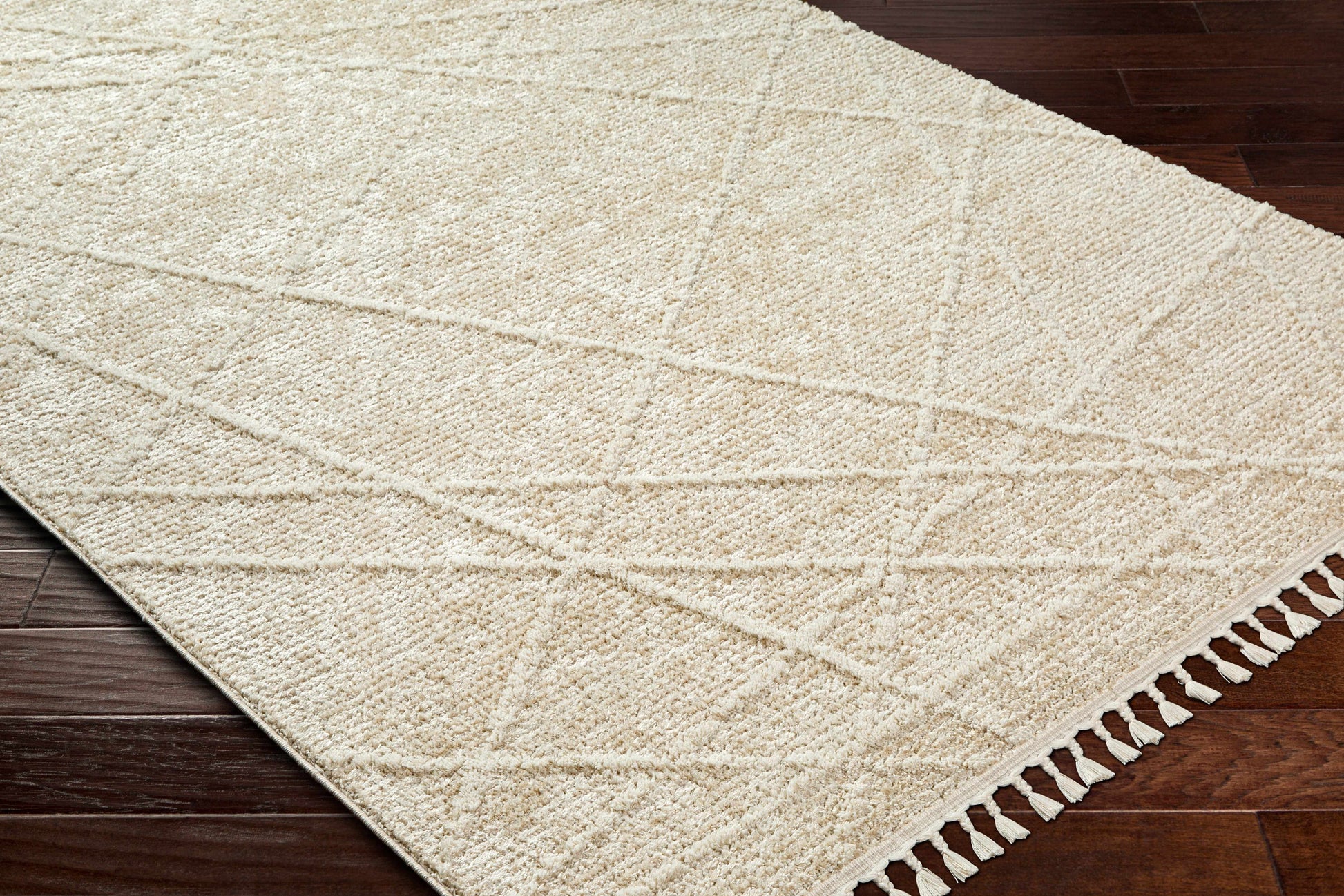 Rudy RDY-2307 Machine Woven Rug