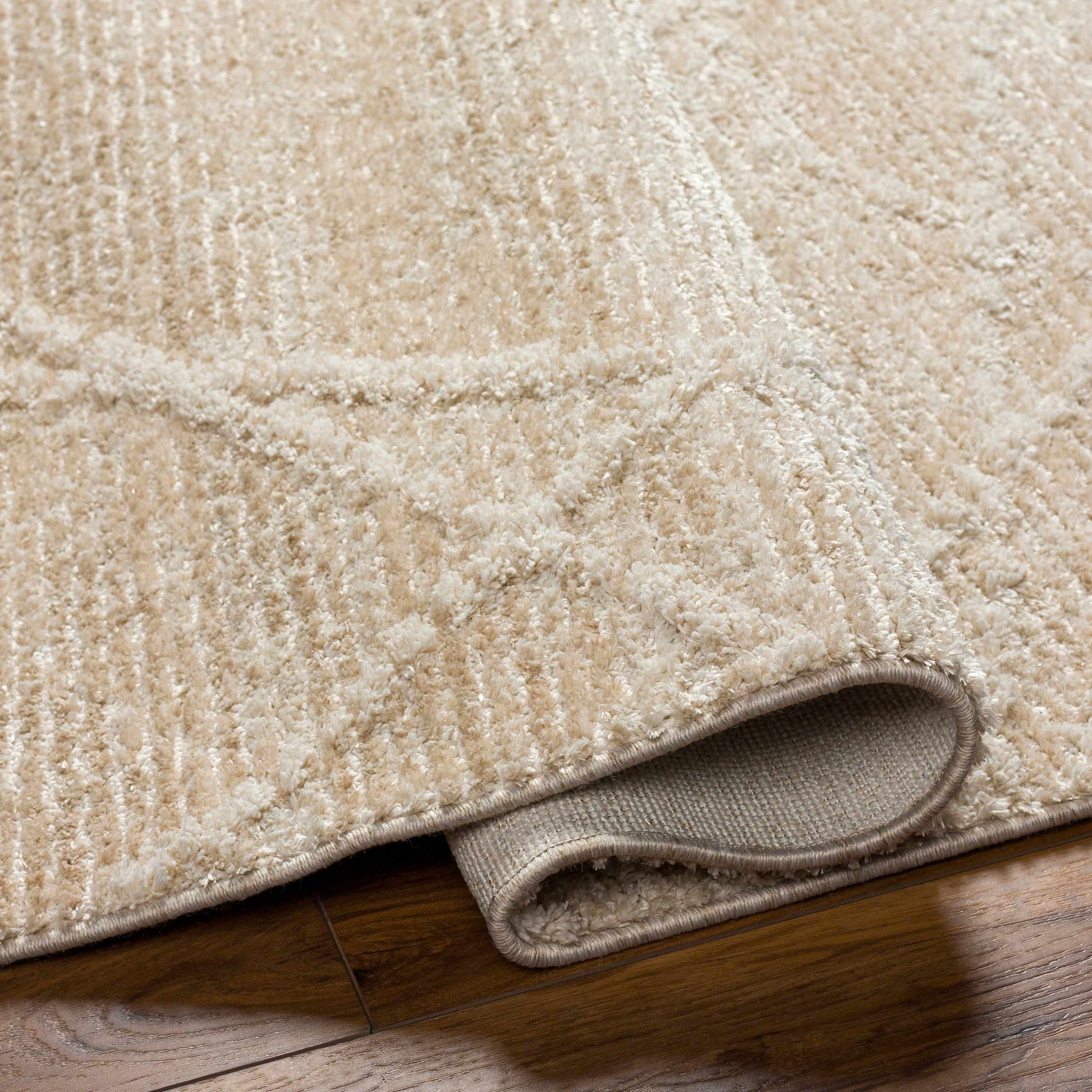 Rudy RDY-2307 Machine Woven Rug