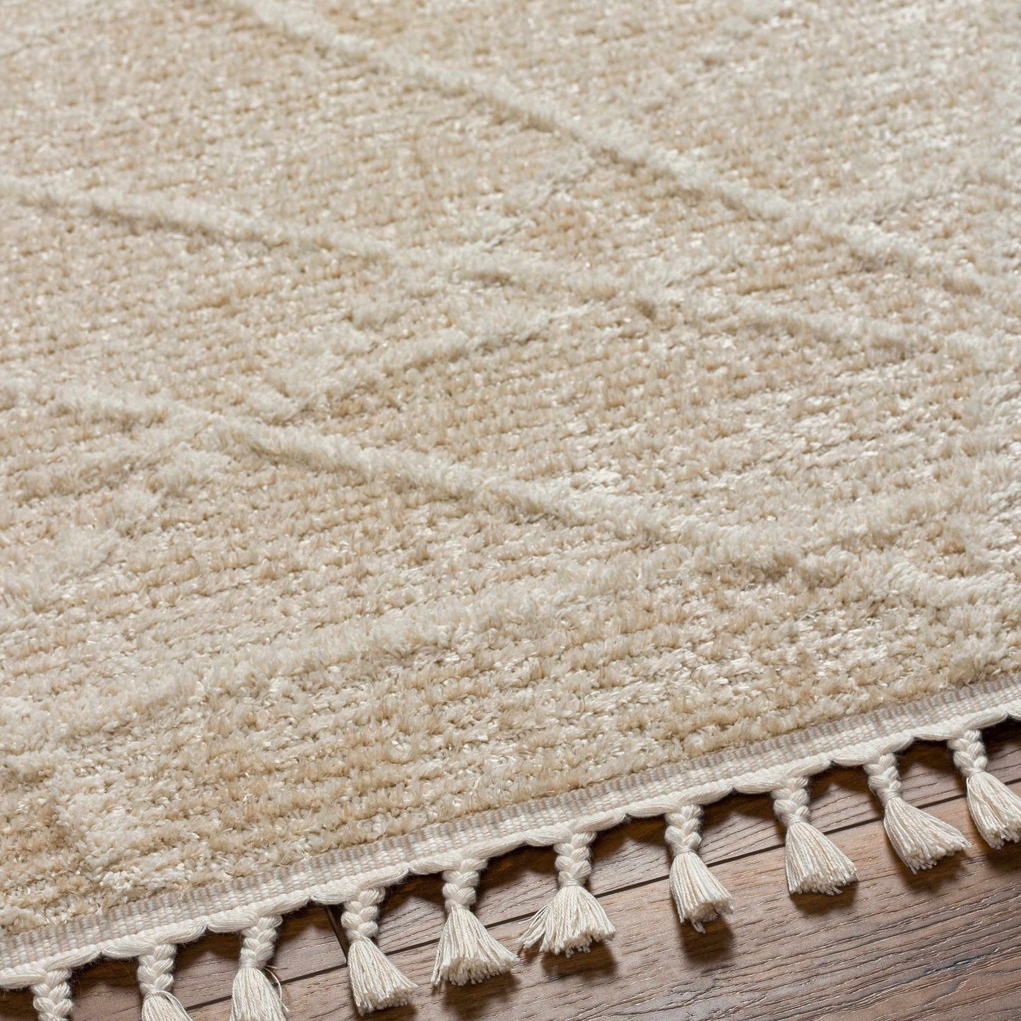 Rudy RDY-2307 Machine Woven Rug