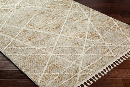Rudy RDY-2308 Machine Woven Rug