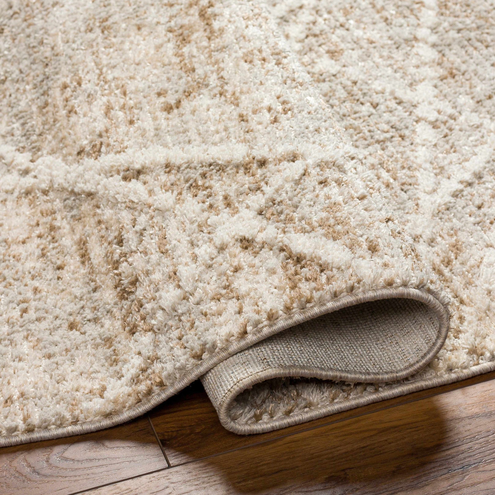 Rudy RDY-2308 Machine Woven Rug