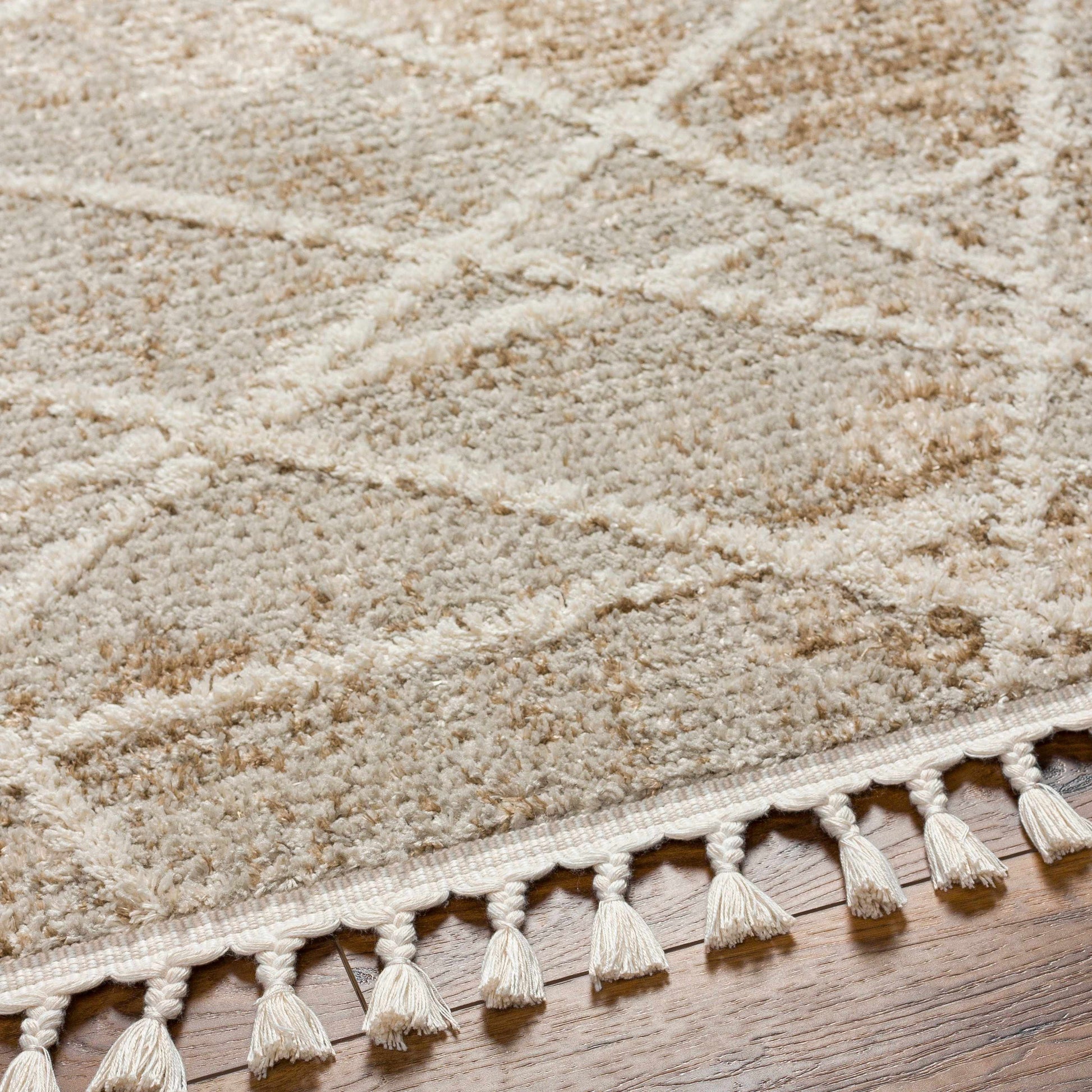 Rudy RDY-2308 Machine Woven Rug