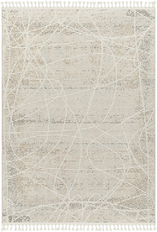 Rudy RDY-2303 Machine Woven Rug