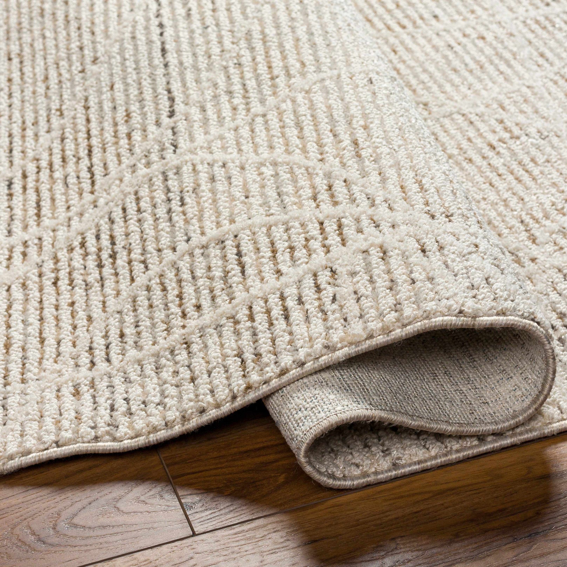 Rudy RDY-2303 Machine Woven Rug