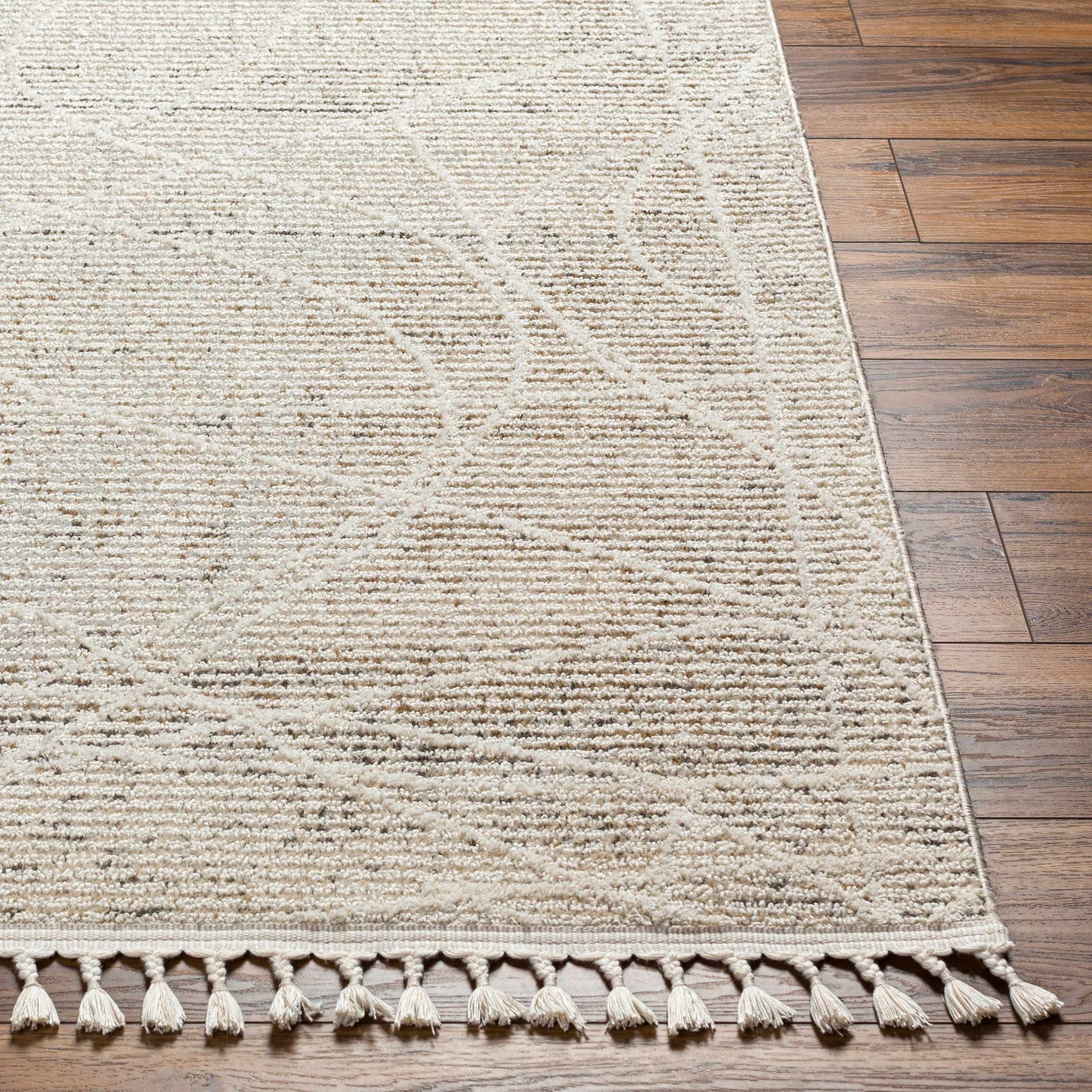 Rudy RDY-2303 Machine Woven Rug