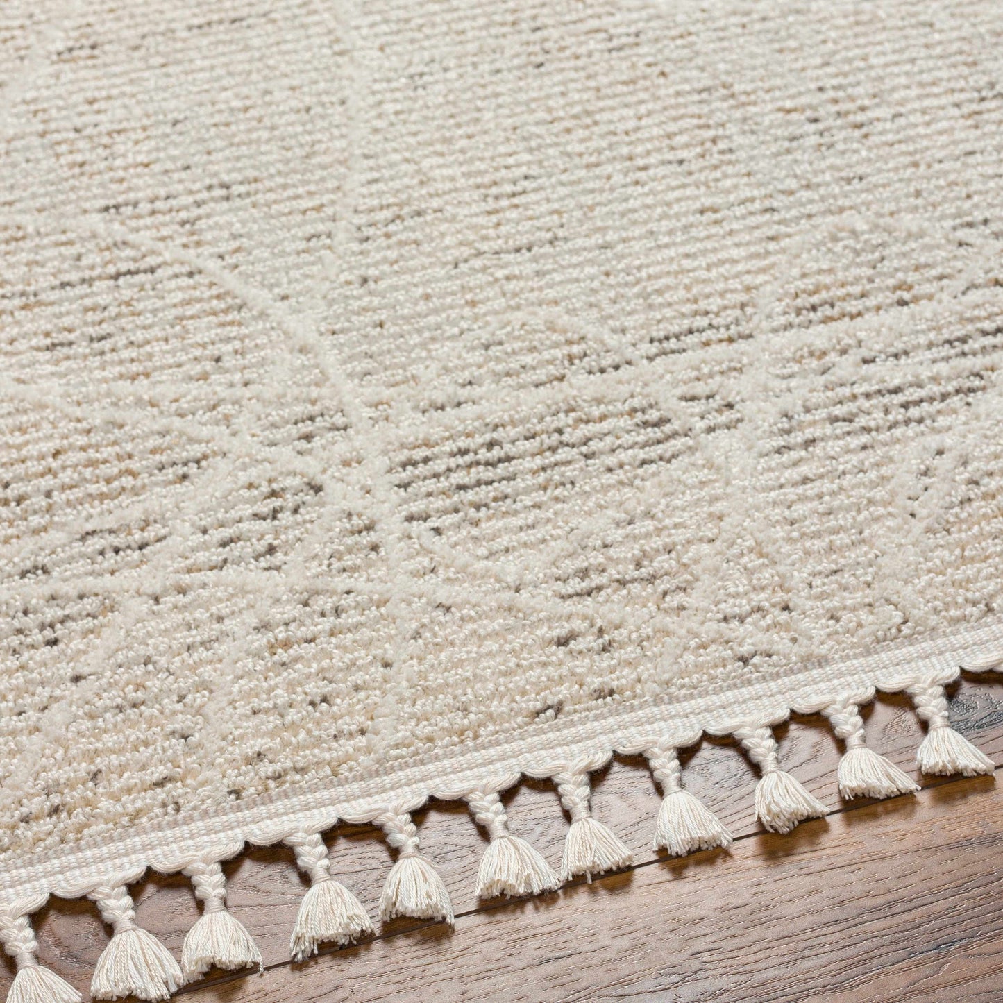 Rudy RDY-2303 Machine Woven Rug