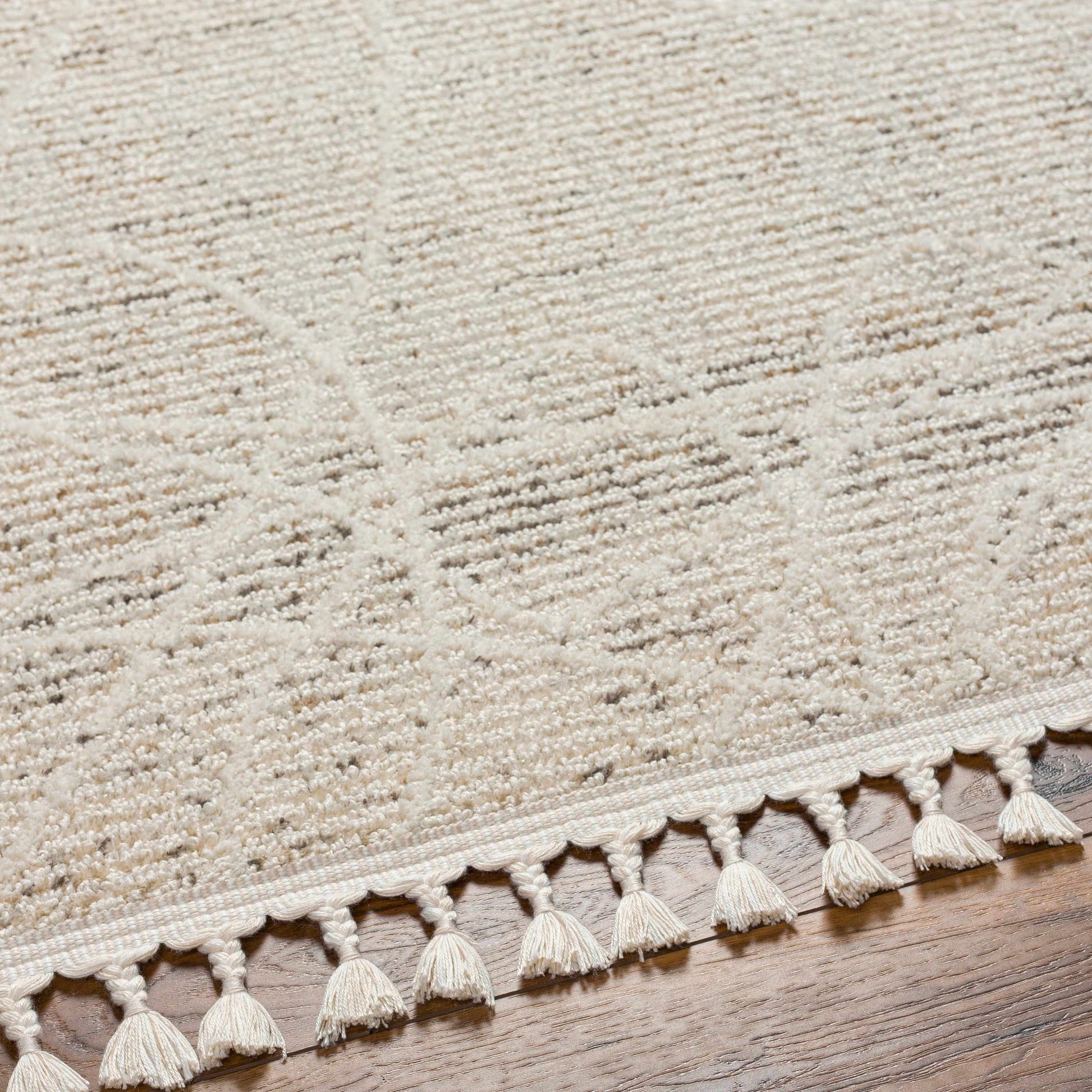 Rudy RDY-2303 Machine Woven Rug