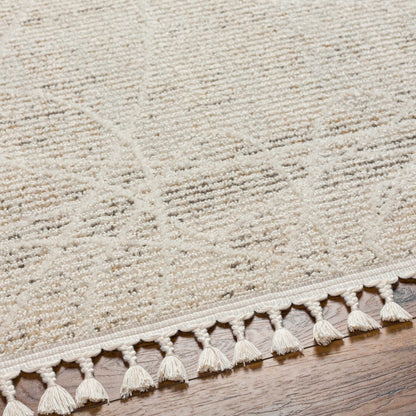 Rudy RDY-2303 Machine Woven Rug