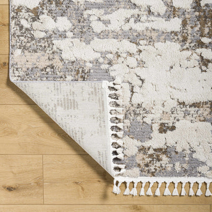 Rudy RDY-2309 Machine Woven Rug