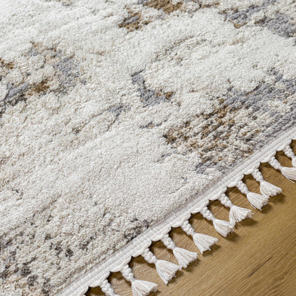 Rudy RDY-2309 Machine Woven Rug