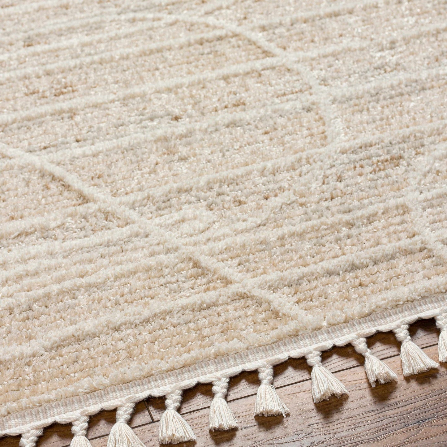 Rudy RDY-2304 Machine Woven Rug
