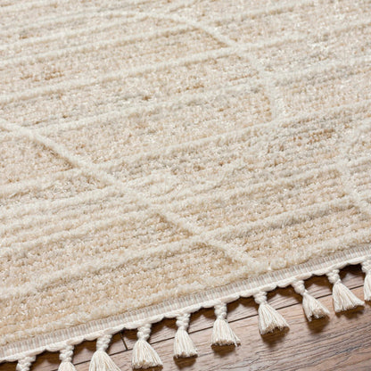 Rudy RDY-2304 Machine Woven Rug