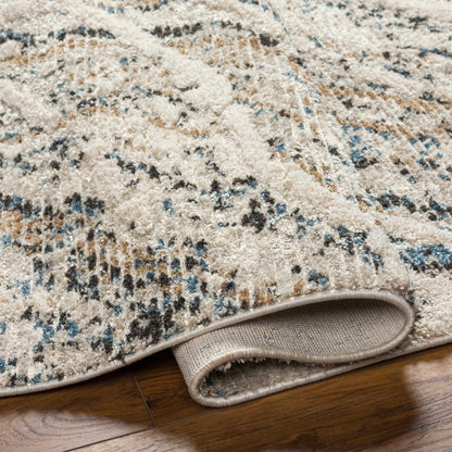 Rudy RDY-2302 Machine Woven Rug