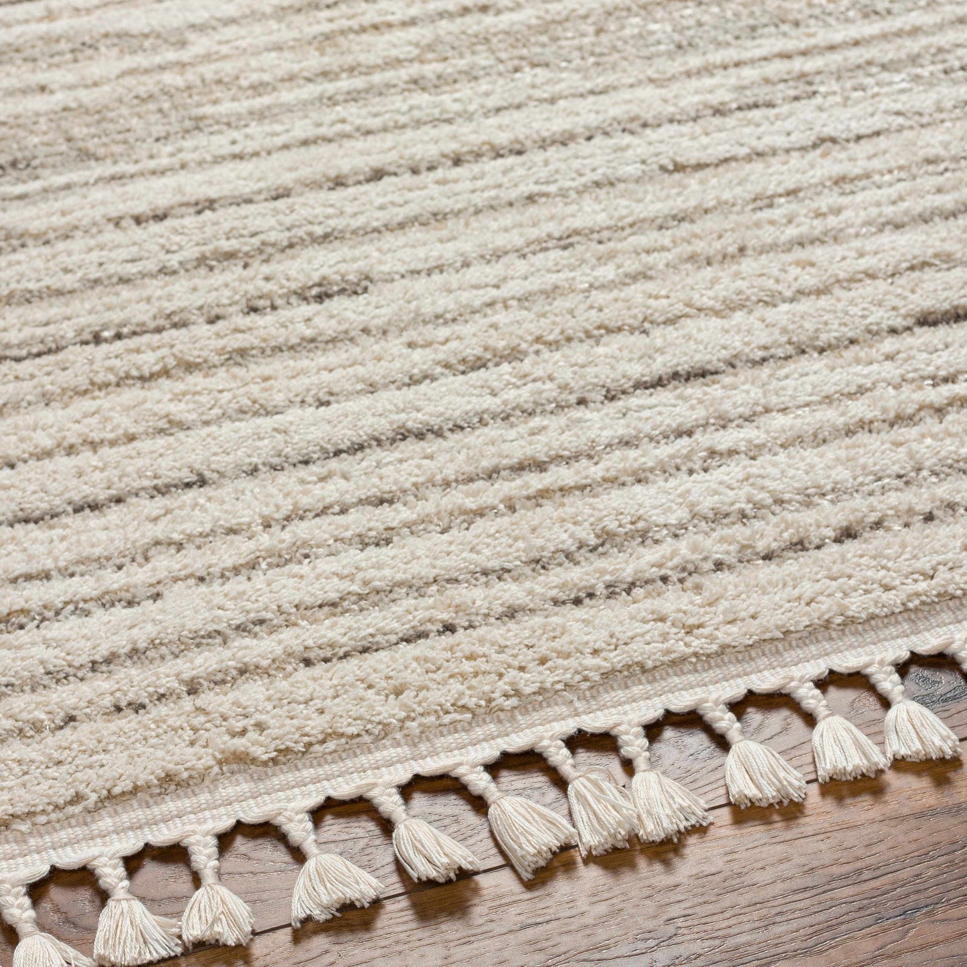 Rudy RDY-2305 Machine Woven Rug