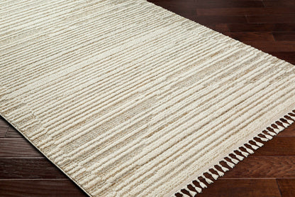 Rudy RDY-2306 Machine Woven Rug