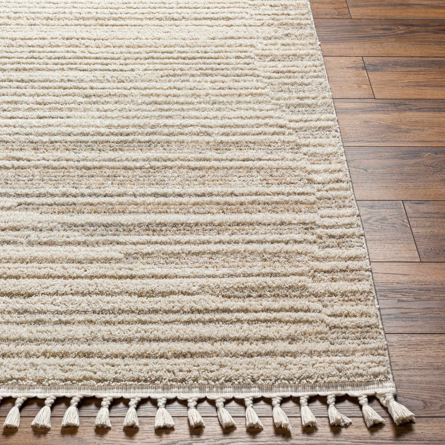 Rudy RDY-2306 Machine Woven Rug