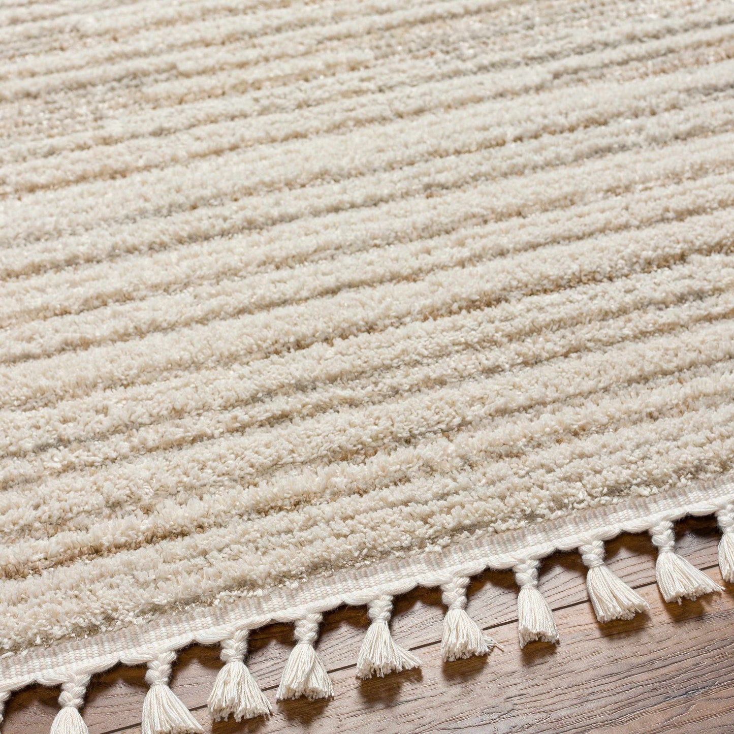 Rudy RDY-2306 Machine Woven Rug