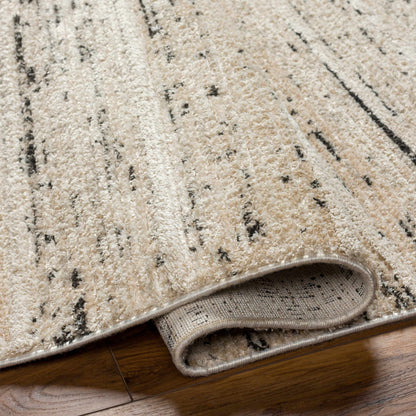 Rudy RDY-2300 Machine Woven Rug