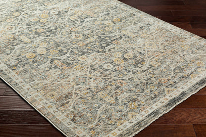 Rojin ROJ-2301 Machine Woven Rug