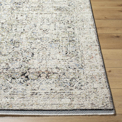 Rivaldo RVD-2302 Machine Woven Rug