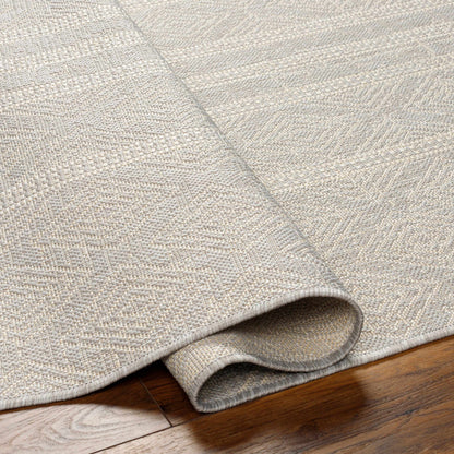 Ravello RVL-2322 Machine Woven Rug