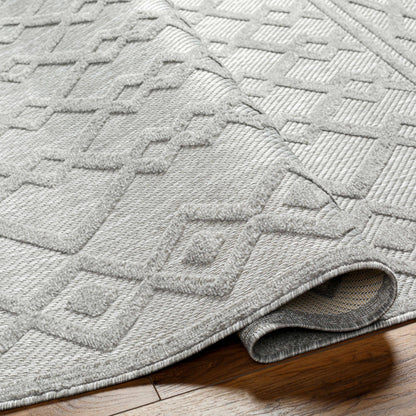 San Diego SFG-2310 Machine Woven Rug