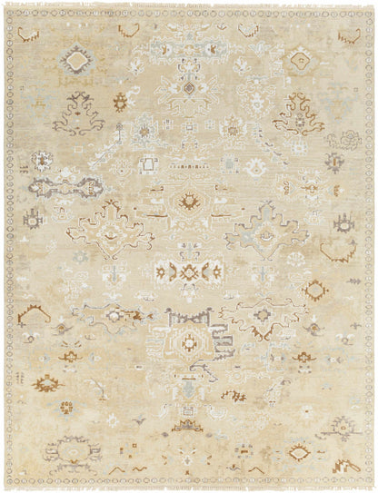 Shiraz SHZ-2300 Handmade Rug