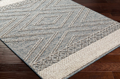 Sarasota SSO-2305 Machine Woven Rug