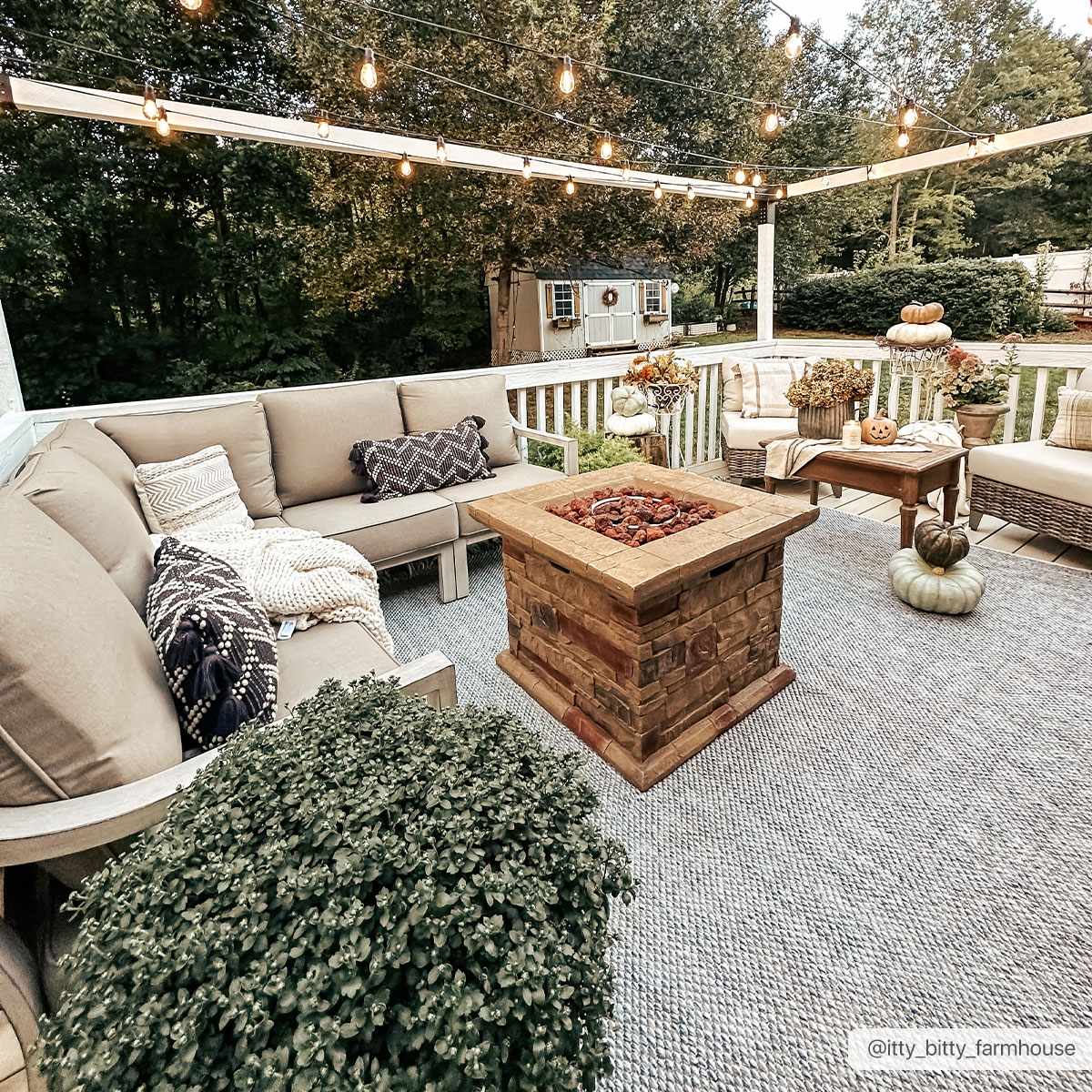 Azalea AZA-2314 Handmade Rug