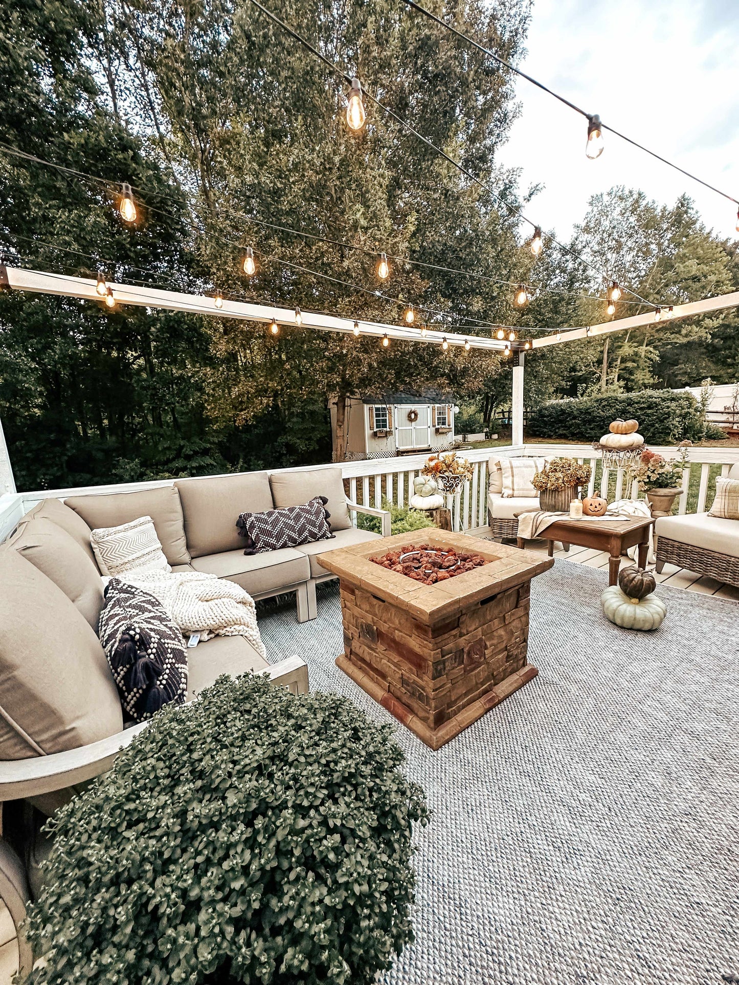 Azalea AZA-2314 Handmade Rug