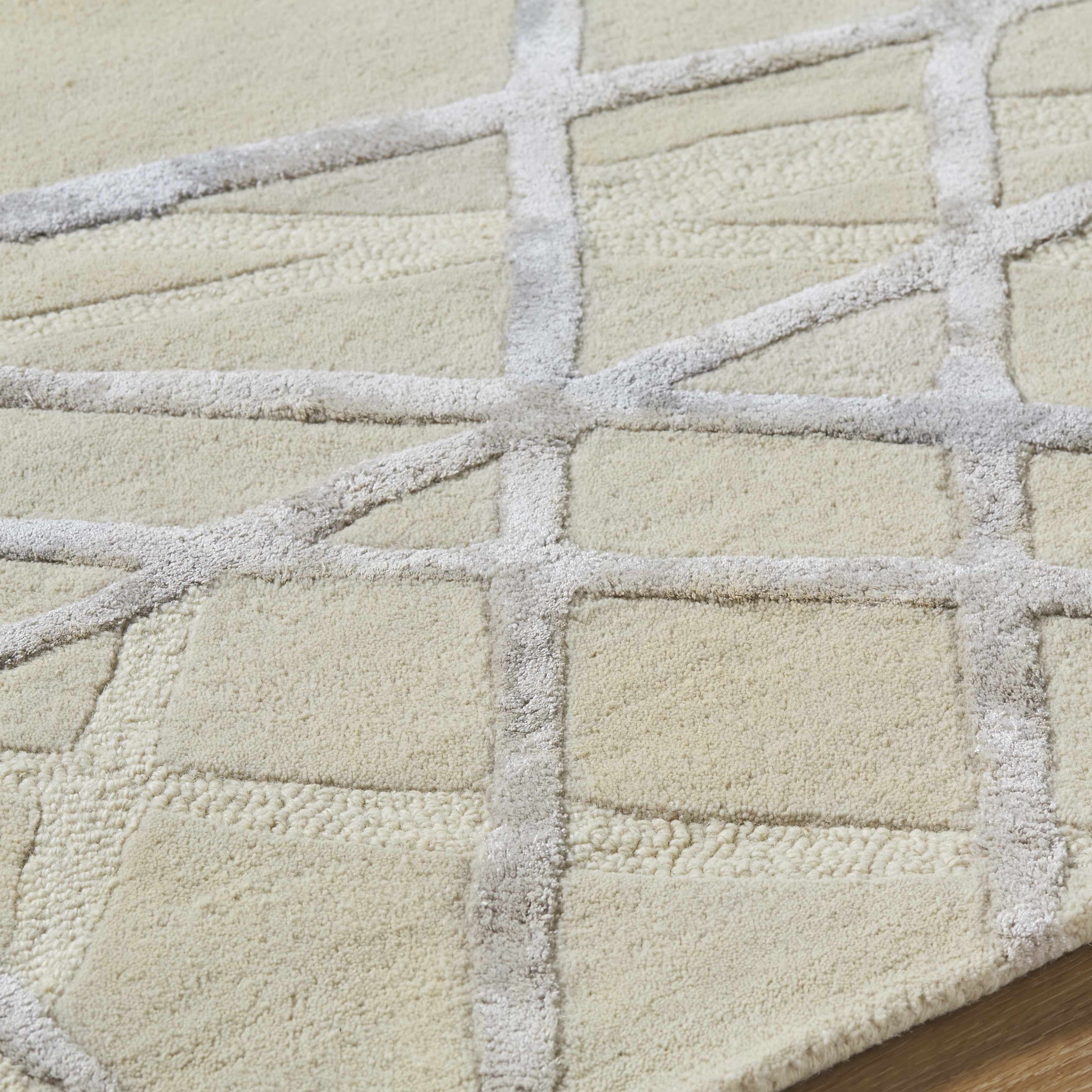 Tallinn TNL-2307 Hand Tufted Rug