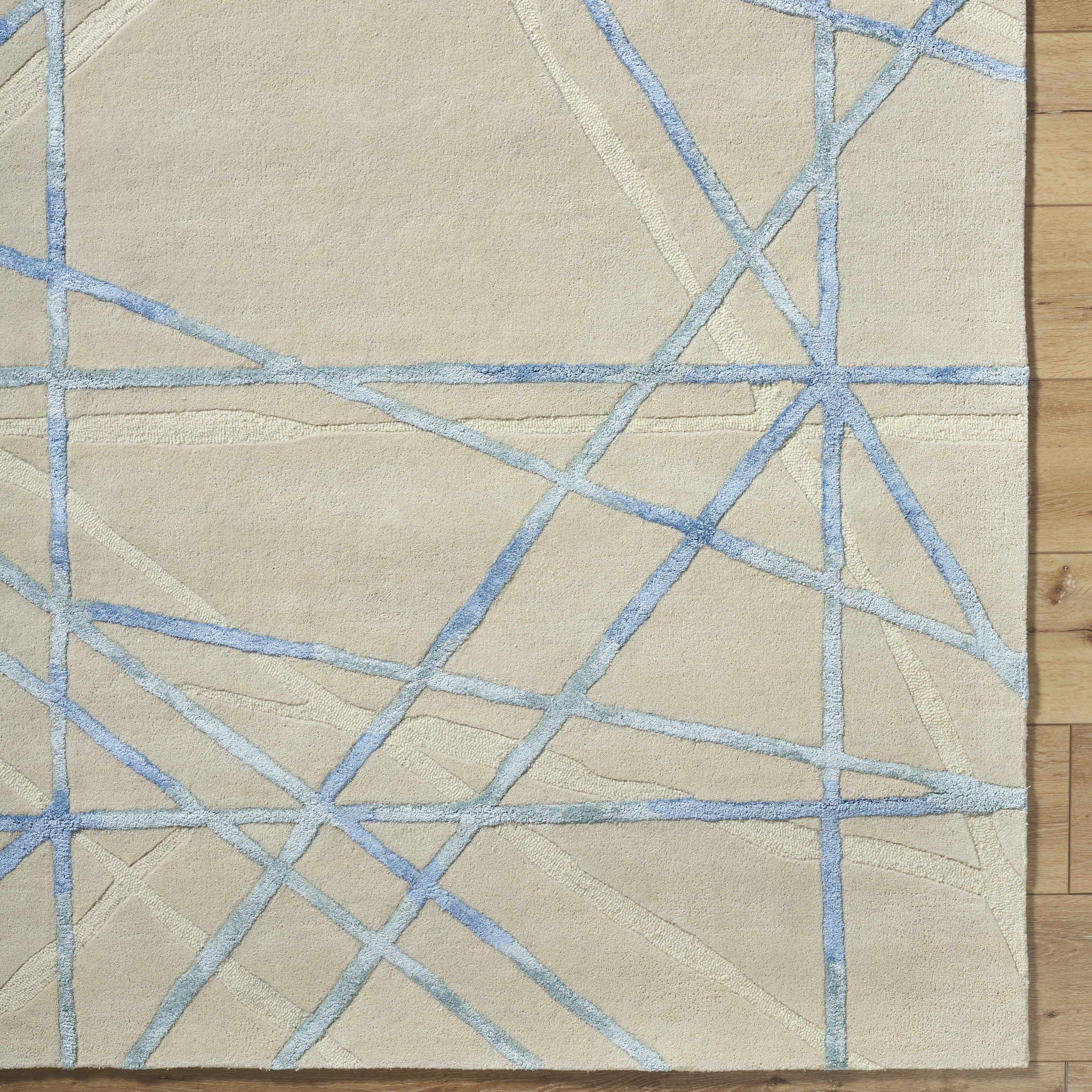 Tallinn TNL-2306 Hand Tufted Rug