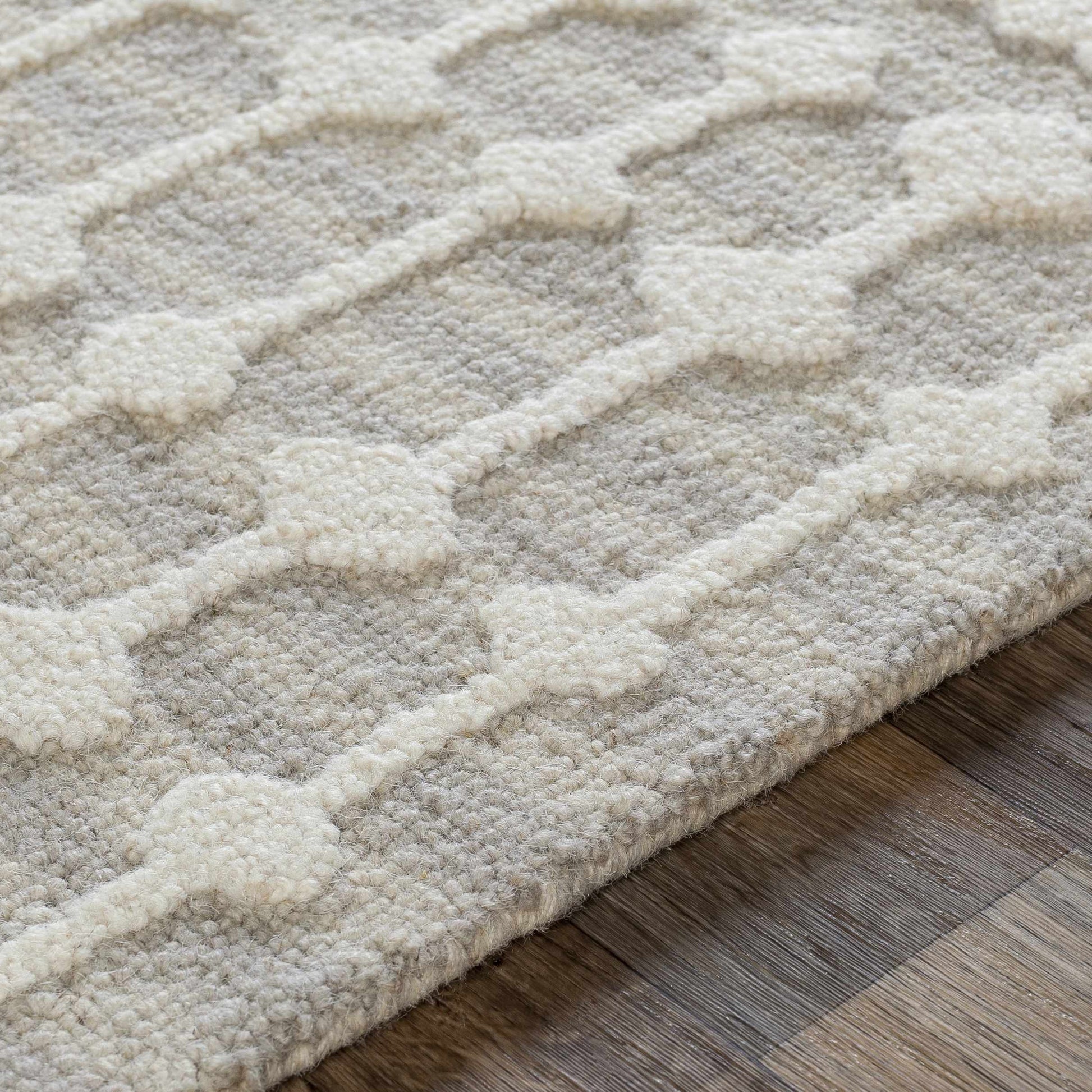 Izmir IZM-2303 Hand Tufted Rug