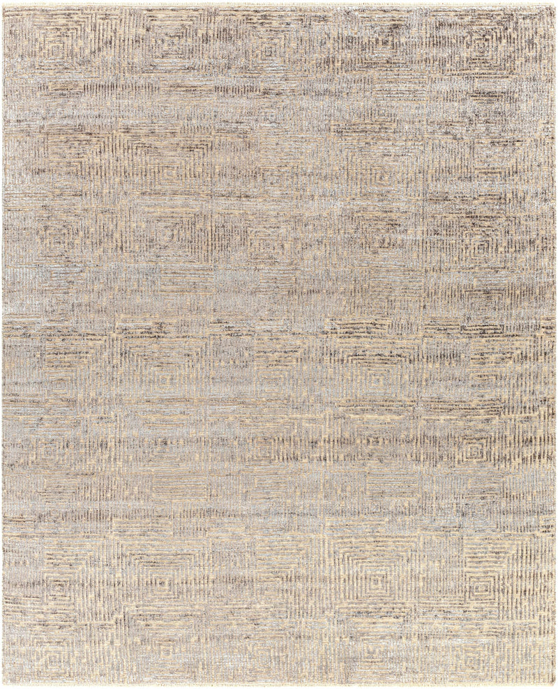 Gray Hand Knotted 65% Wool, 35% Viscose Modern Rectangle Handmade rug, Indoor use only, has fringe, non-washable.