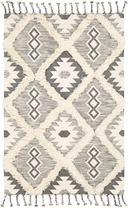 Apache APA-2305 Hand Woven Rug