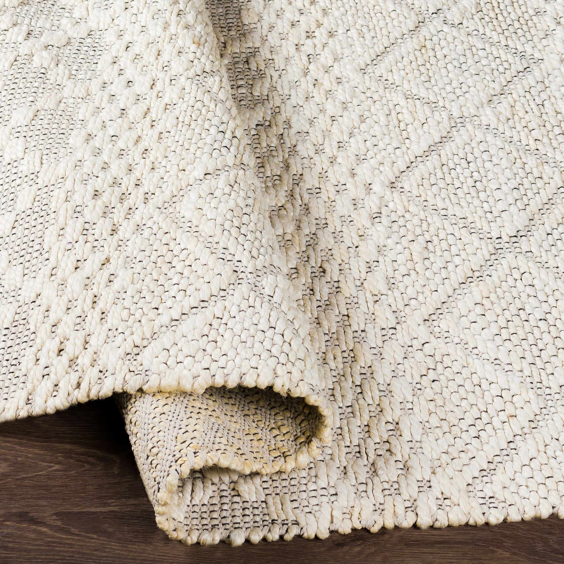 Santa Barbara SBB-2302 Hand Woven Rug