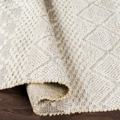 Santa Barbara SBB-2302 Hand Woven Rug