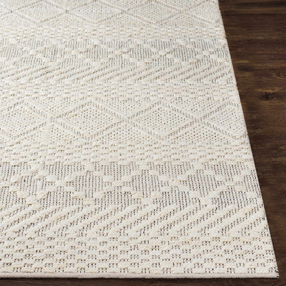 Santa Barbara SBB-2302 Hand Woven Rug