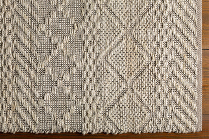 Santa Barbara SBB-2302 Hand Woven Rug