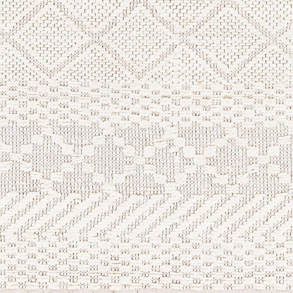 Santa Barbara SBB-2302 Hand Woven Rug