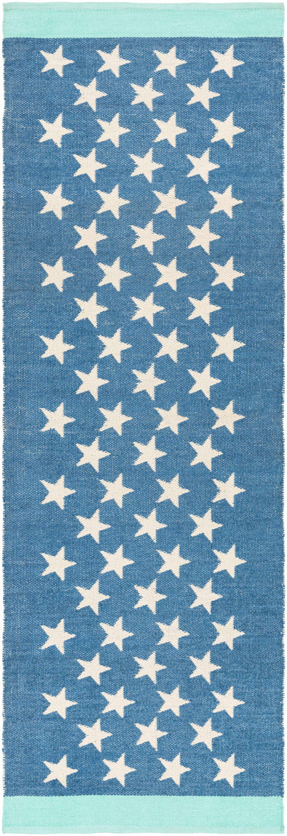 Picnic PIC-4010 Hand Woven Rug