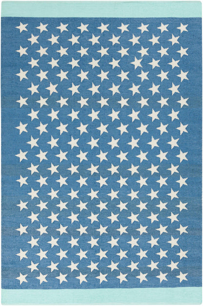Picnic PIC-4010 Hand Woven Rug