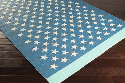 Picnic PIC-4010 Hand Woven Rug