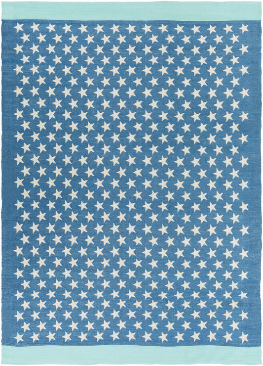 Picnic PIC-4010 Hand Woven Rug