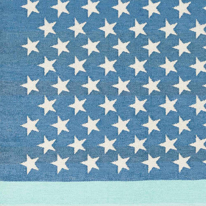 Picnic PIC-4010 Hand Woven Rug