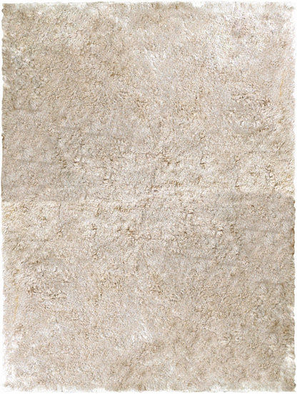 Jasper JSP-8005 Hand Woven Rug
