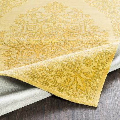 Middleton AWMD-2354 Hand Tufted Rug